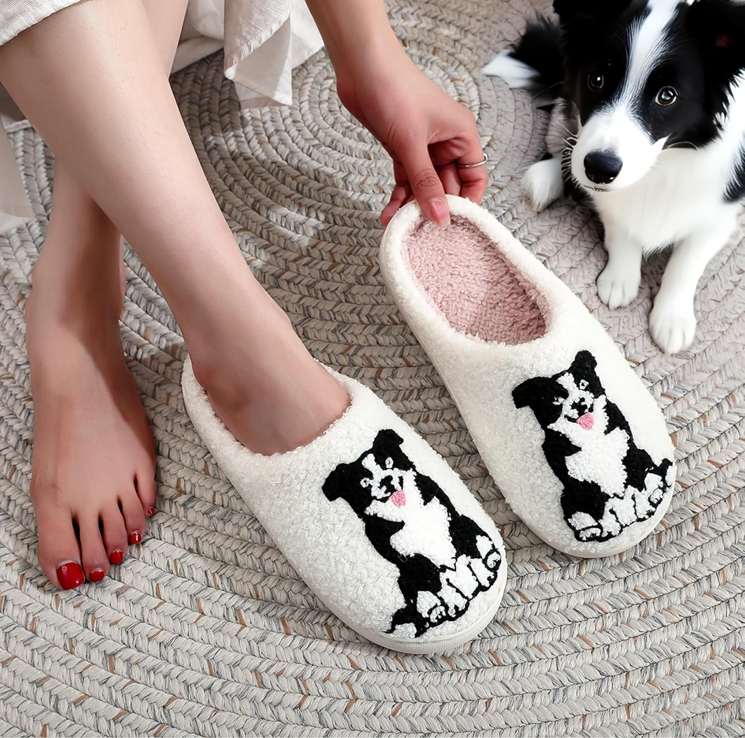 Elizabeth´s Collie Slides