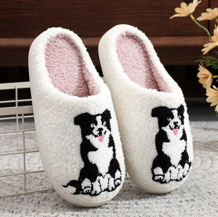 Elizabeth´s Collie Slides