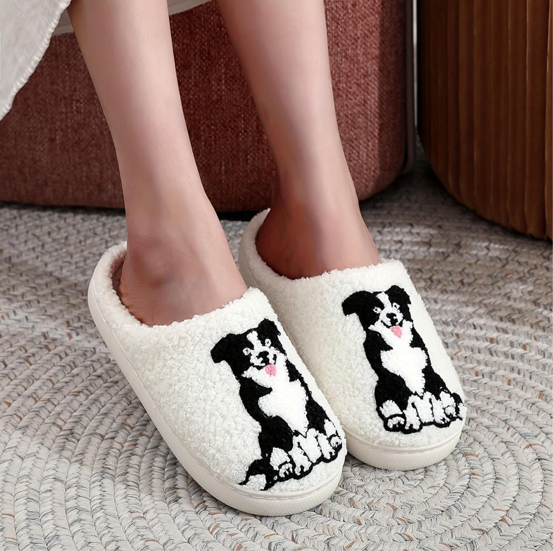 Elizabeth´s Collie Slides